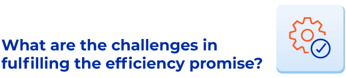 What are the challenges in fulfilling the efficiency promise?