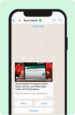 WhatsApp Chat Features